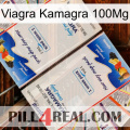 Viagra Kamagra 100Mg kamagra1